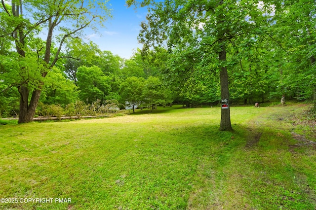 233 Congo Niantic Rd, Barto, PA 19504 - photo 5