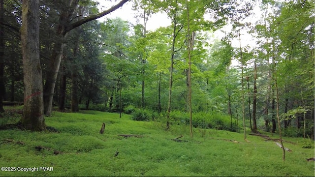 Swamp Rd, Hunlock Creek PA, 18621 land for sale