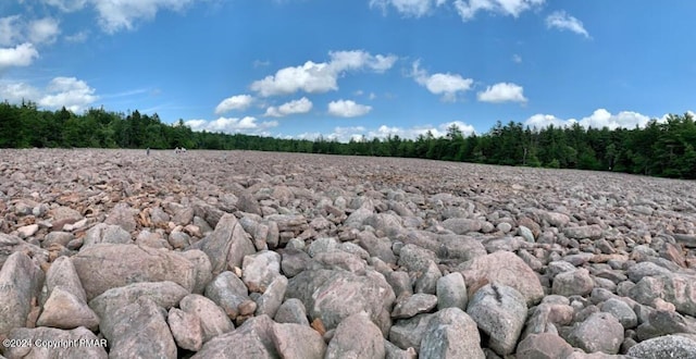 view of landscape with a wooded view