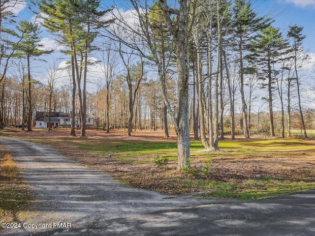 view of road with gravel driveway