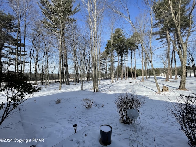 view of yard layered in snow