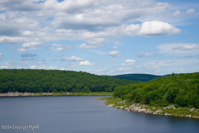 114 High Country Dr, Blakeslee, PA 18610 - photo 83