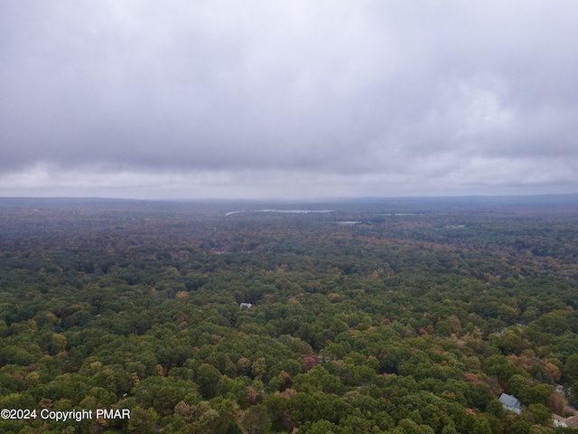 drone / aerial view with a wooded view