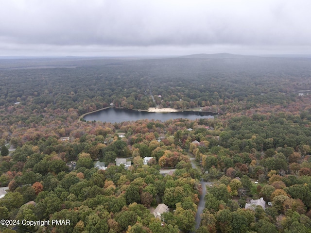 aerial view with a water view and a view of trees