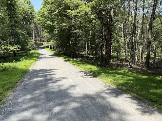 SKYVIEWLAKE Redwood Dr, Greentown, PA 18426 - view of asphalt road featuring a wooded view