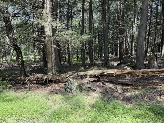 SKYVIEWLAKE Redwood Dr, Greentown, PA 18426 - view of undeveloped land
