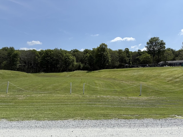 SKYVIEWLAKE Redwood Dr, Greentown, PA 18426 - view of community