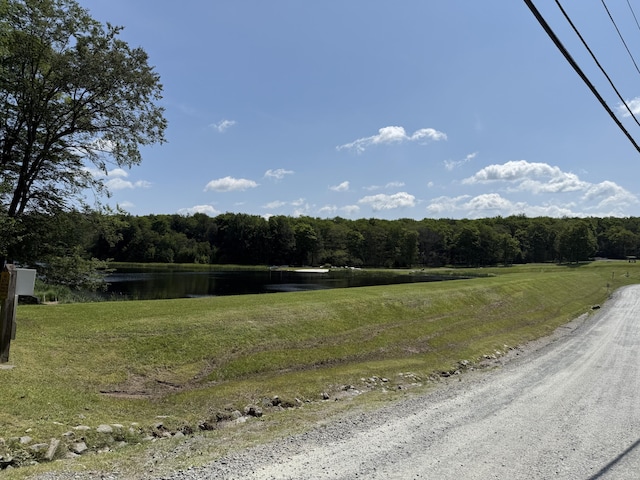 SKYVIEWLAKE Redwood Dr, Greentown, PA 18426 - view of road with a water view and a view of trees