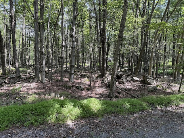 SKYVIEWLAKE Redwood Dr, Greentown, PA 18426 - view of undeveloped land