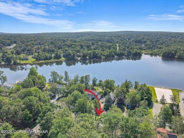 6084 Boardwalk Dr, Tobyhanna, PA 18466 - photo 67