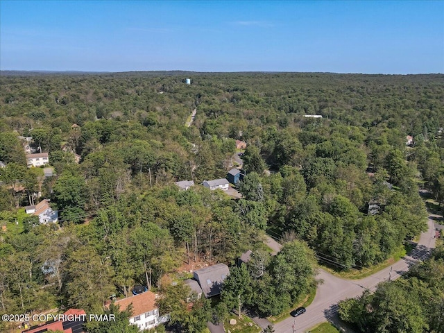 6084 Boardwalk Dr, Tobyhanna, PA 18466 - photo 63