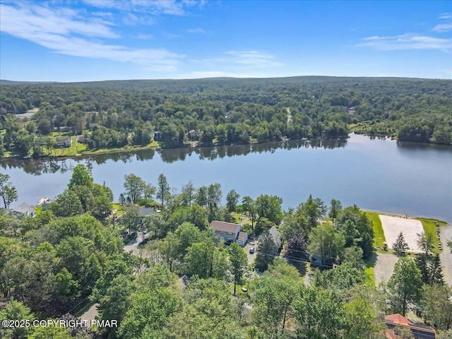 6084 Boardwalk Dr, Tobyhanna, PA 18466 - photo 62