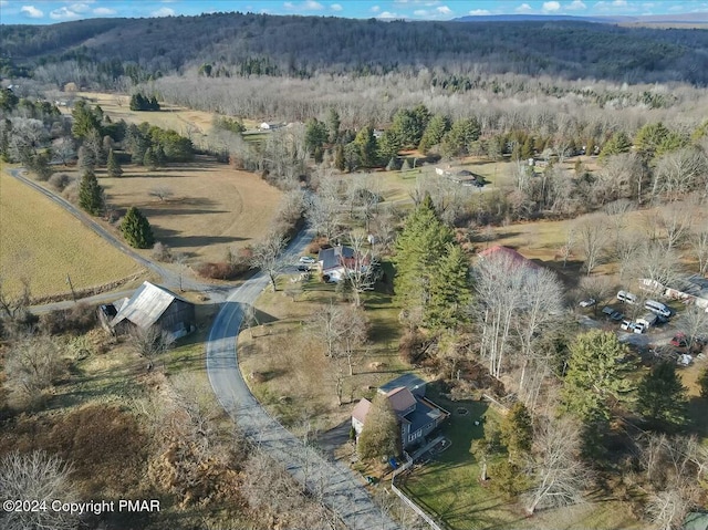 bird's eye view with a wooded view