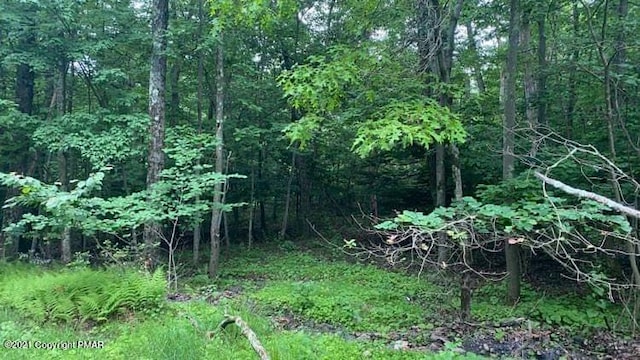 263 Buck Fever Trl, Scotrun PA, 18355 land for sale