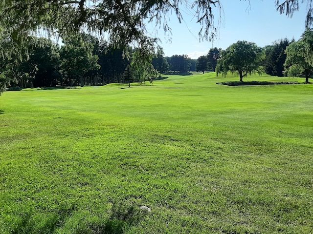 view of community with view of golf course and a yard