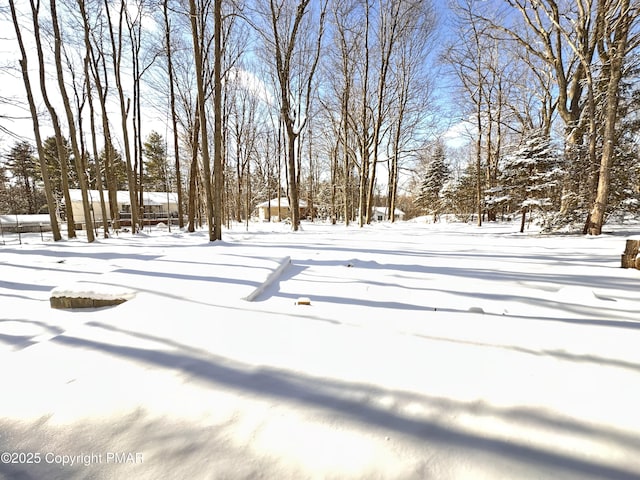 view of yard layered in snow