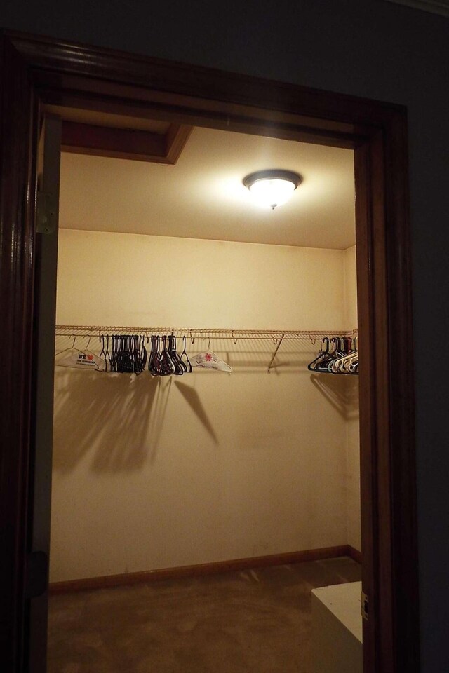 115 Gap View Rd, Milford, PA 18337 - view of walk in closet