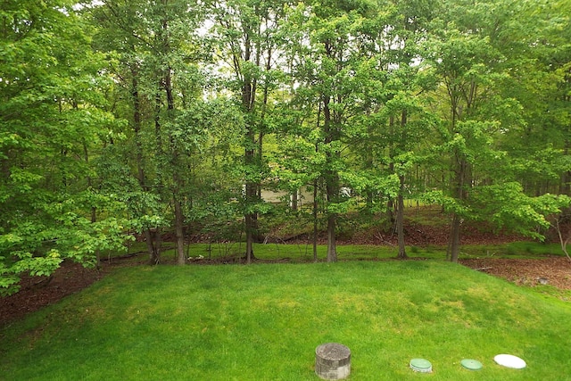 115 Gap View Rd, Milford, PA 18337 - view of grassy yard