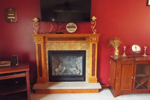 115 Gap View Rd, Milford, PA 18337 - detailed view of a high end fireplace and carpet