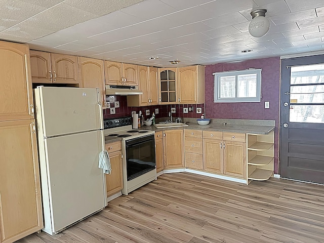 kitchen with light brown cabinets, freestanding refrigerator, a sink, electric range oven, and under cabinet range hood