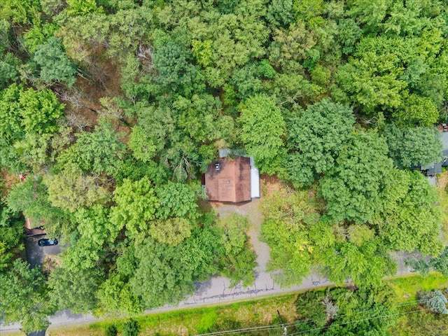 44 Magnolia Dr, Gouldsboro, PA 18424 - photo 15