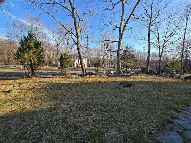202 Tomnody Dr, Tamiment, PA 18371 - photo 25