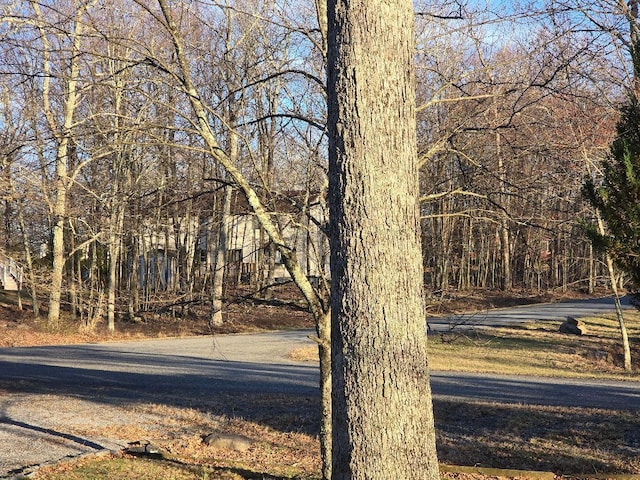 202 Tomnody Dr, Tamiment, PA 18371 - photo 26