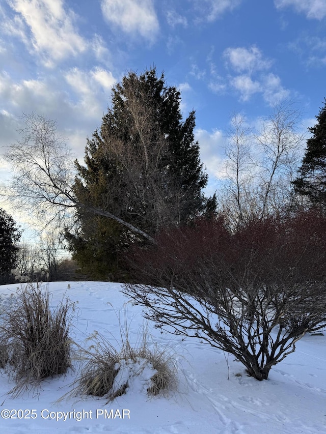 view of yard layered in snow