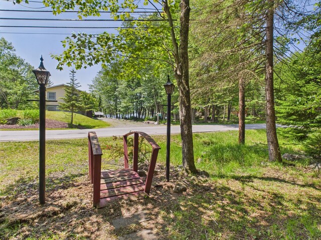 105 Buffalo Trl, Pocono Lake, PA 18347 - view of green lawn