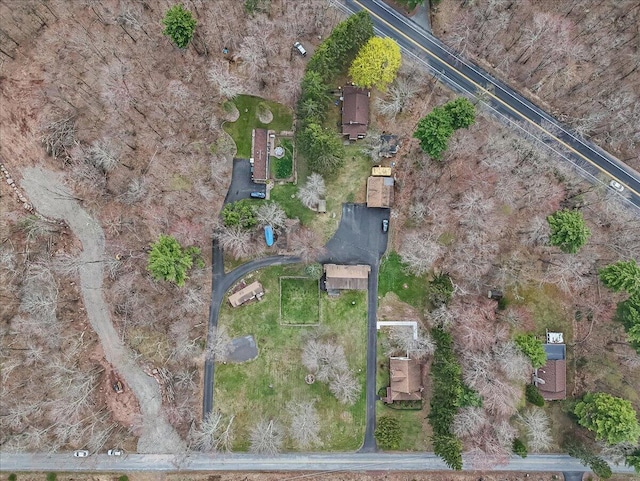 253 Thomas Rd, Blakeslee, PA 18610 - aerial overview of property's location