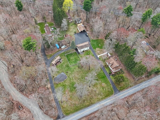 253 Thomas Rd, Blakeslee, PA 18610 - aerial view of property and surrounding area