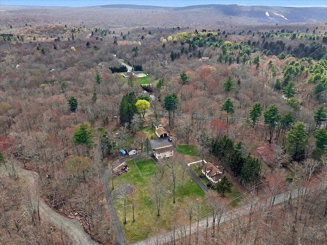 253 Thomas Rd, Blakeslee, PA 18610 - aerial view of property's location featuring a forest