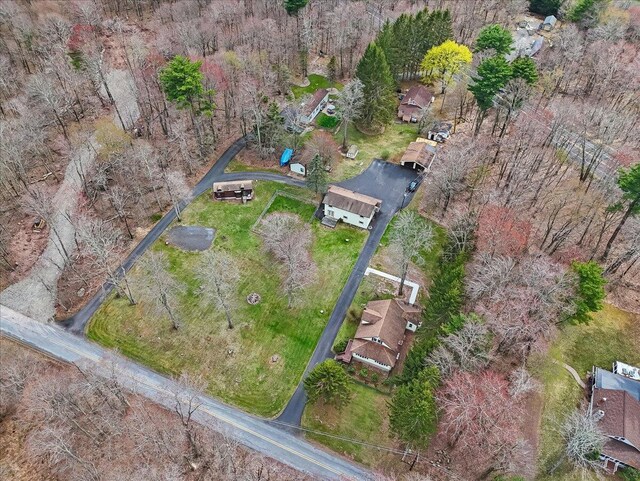 253 Thomas Rd, Blakeslee, PA 18610 - aerial overview of property's location