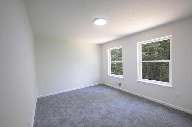 4105 Arbutus Dr Unit 1200, Tobyhanna, PA 18466 - empty room featuring carpet flooring and baseboards