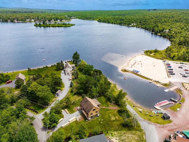 21 Wilde Gln, Albrightsville, PA 18210 - aerial view of a heavily wooded area and a large body of water