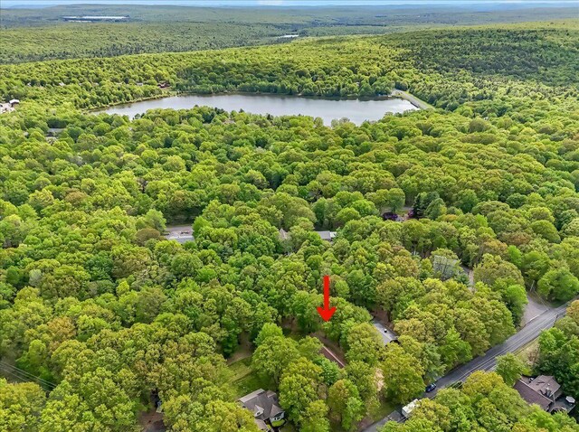 186 Brier Crest Rd, Blakeslee, PA 18610 - bird's eye view of a forest and a nearby body of water