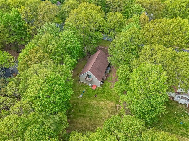 186 Brier Crest Rd, Blakeslee, PA 18610 - drone / aerial view