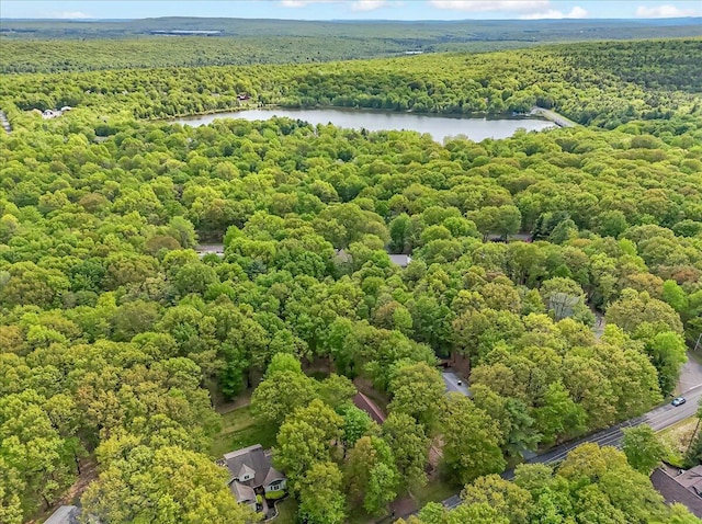 186 Brier Crest Rd, Blakeslee, PA 18610 - drone / aerial view of a heavily wooded area and a nearby body of water