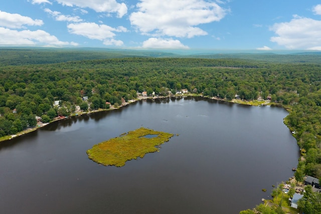 drone / aerial view featuring a forest view and a water view