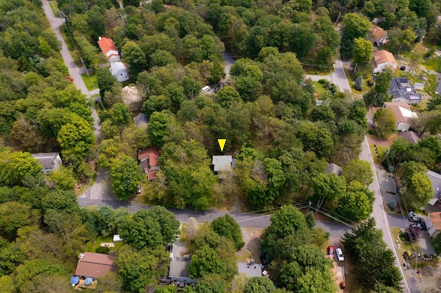 bird's eye view