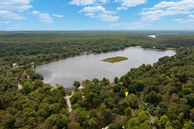 drone / aerial view featuring a forest view and a water view