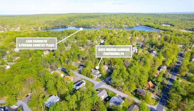 6435 Marvin Gdns, Tobyhanna, PA 18466 - view of property location featuring a forest and a nearby body of water