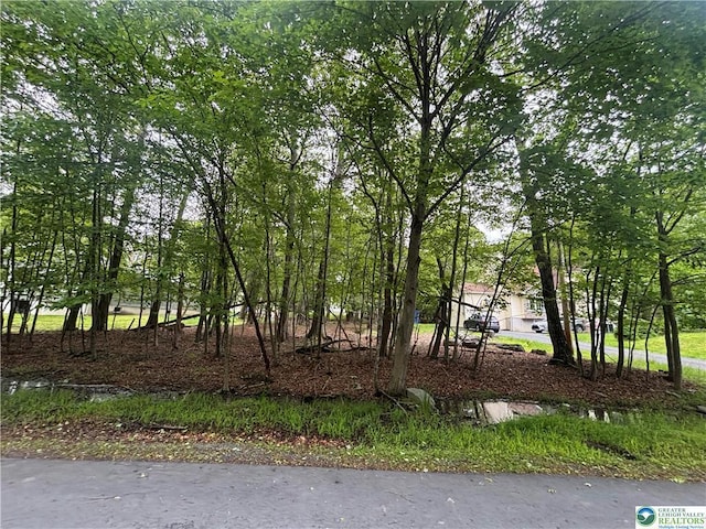 135 Heather Hill Rd, Dingmans Ferry, PA 18328