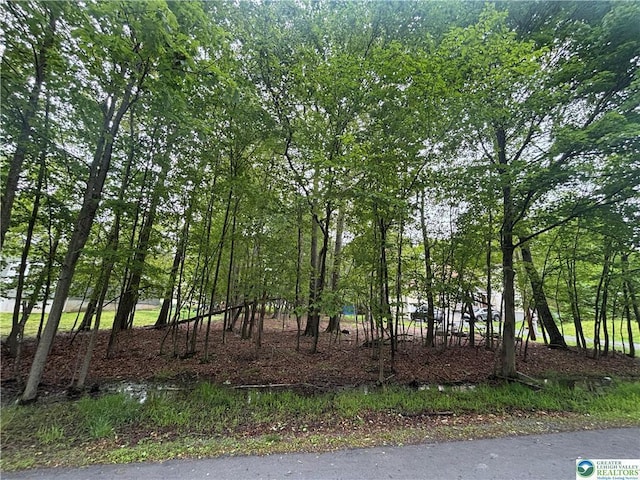 135 Heather Hill Rd, Dingmans Ferry, PA 18328