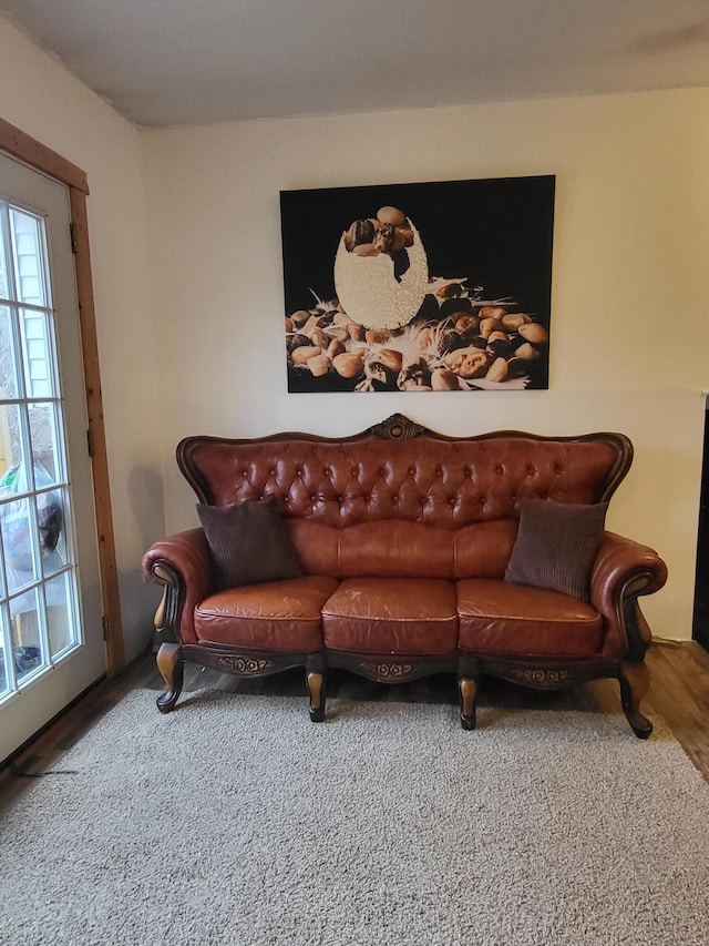 living room featuring wood finished floors