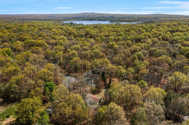 19 Mckinley Ln, Albrightsville, PA 18210 - aerial view of a forest and a nearby body of water