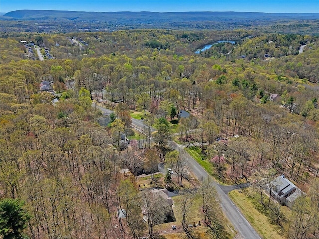 190 Reunion Rdg, East Stroudsburg, PA 18301 - bird's eye view featuring a forest view