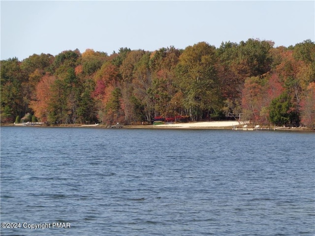 144 Dogwood Dr, Jim Thorpe, PA 18229 - water view featuring a heavily wooded area