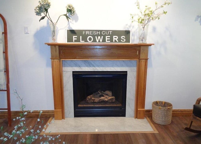 144 Dogwood Dr, Jim Thorpe, PA 18229 - detailed view of a premium fireplace and wood finished floors