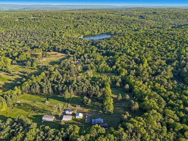 1163 Bush Rd, Cresco, PA 18326 - aerial overview of property's location featuring a forest and a nearby body of water